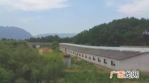养殖场转让信息 东海养殖场出租或转让