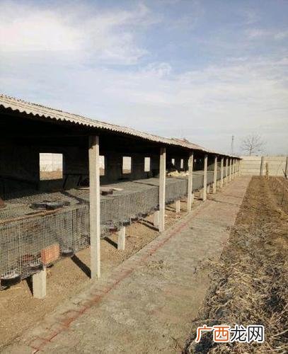 养殖场转让信息 东海养殖场出租或转让