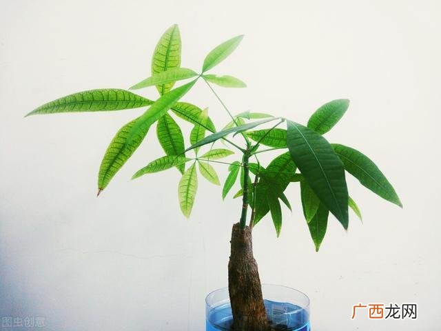 简单暴利的小吃,加盟小吃店排行榜暴利2020年