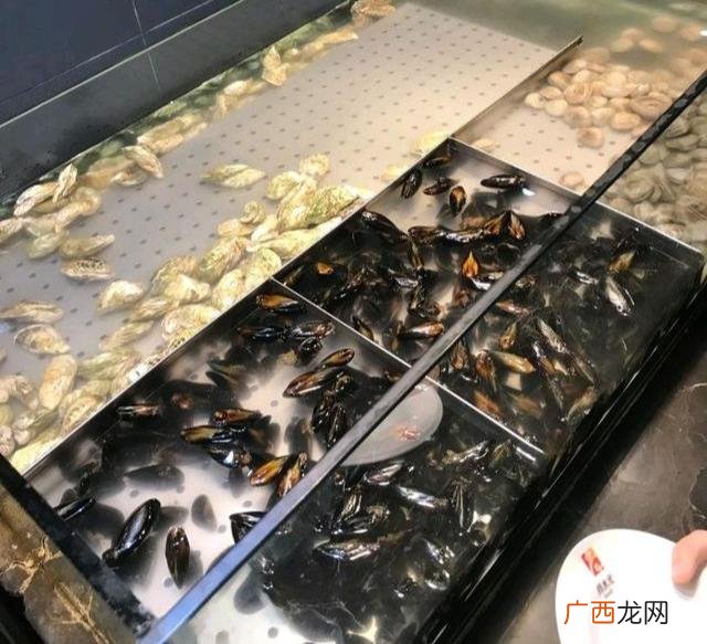 49元自助海鲜火锅加盟 烤肉连锁十大加盟店排行榜