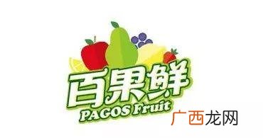 水果切加盟店10大品牌,加盟费低的项目