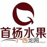 水果切加盟店10大品牌,加盟费低的项目