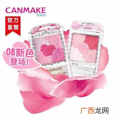 什么牌子的腮红好用又不贵（最值得推荐的几款