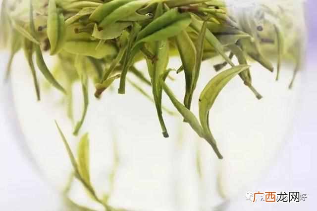 江西茶叶主产地是哪里 江西产什么茶