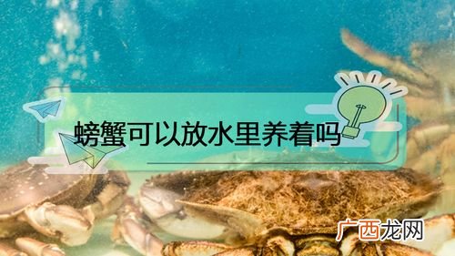 深水网箱养鱼技术 哪些蟹可以深水养殖