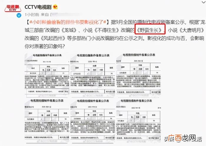 赵丽颖正在拍什么剧，赵丽颖又一部新剧开机