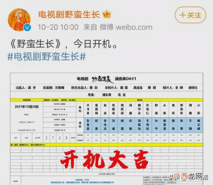 赵丽颖正在拍什么剧，赵丽颖又一部新剧开机