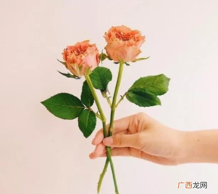 情侣暖心短句,对情人说的暖心话短句
