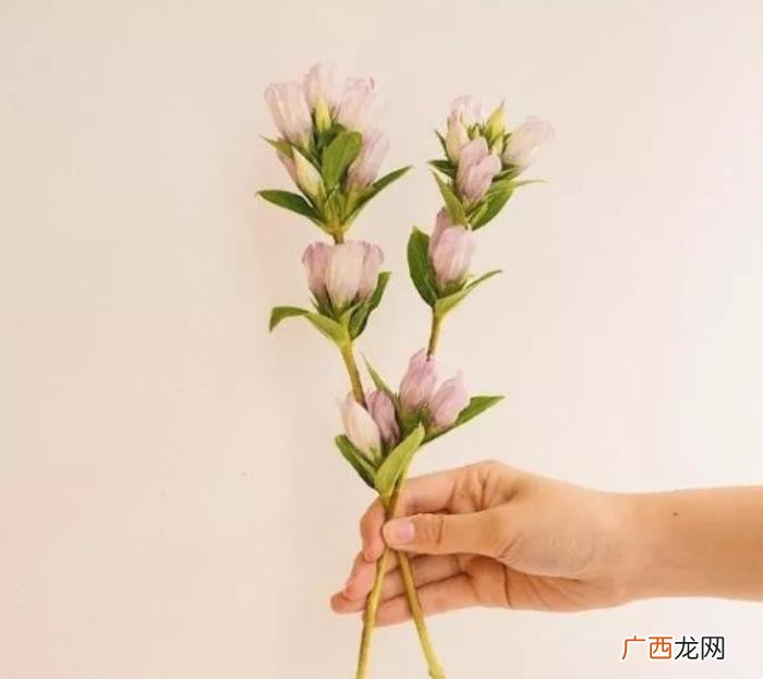 情侣暖心短句,对情人说的暖心话短句