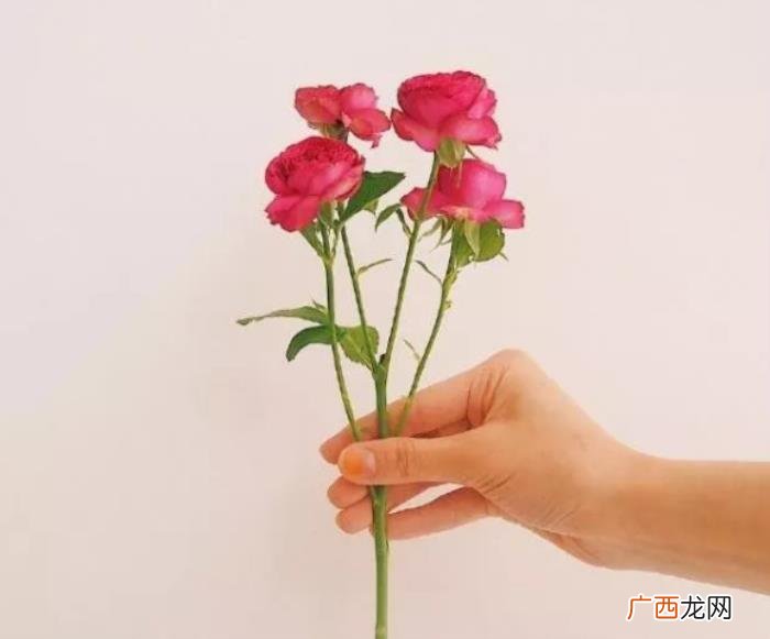 情侣暖心短句,对情人说的暖心话短句