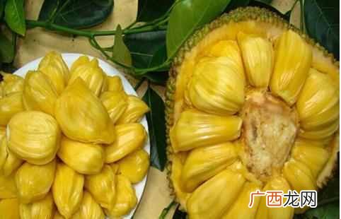 南方水果大全 南方有什么水果特产