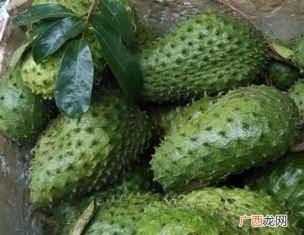 南方水果大全 南方有什么水果特产