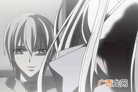 吸血鬼骑士第三季什么时候出(吸血鬼骑士讲的