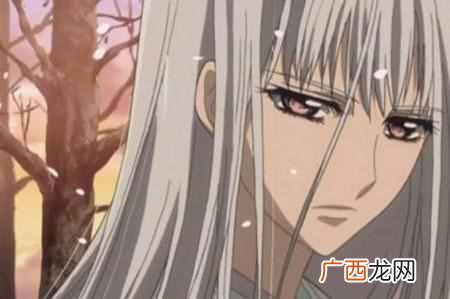 吸血鬼骑士第三季什么时候出(吸血鬼骑士讲的