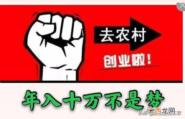 创业小项目,农村创业网项目