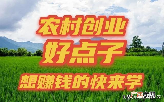 创业小项目,农村创业网项目