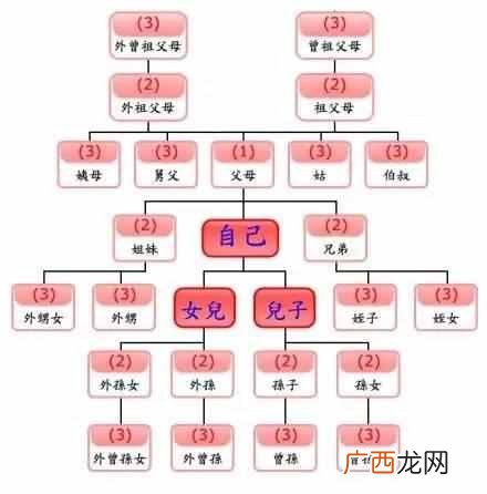九族指什么 什么是九族