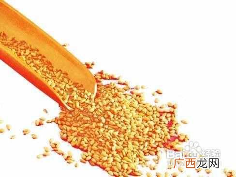 什么食物提高免疫力 什么食物提高记忆力