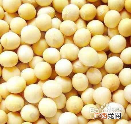 什么食物提高免疫力 什么食物提高记忆力