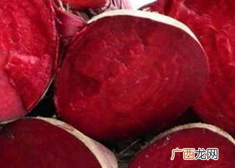甜菜根怎么获得 甜菜根是什么季节的