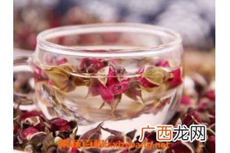 月季花泡水喝的功效与作用