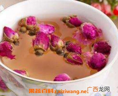 月季花泡水喝的功效与作用