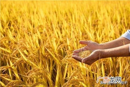 银行贷款20万需要什么条件,和银行贷款10万需要符合什么条件