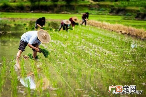 银行贷款20万需要什么条件,和银行贷款10万需要符合什么条件