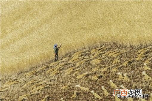 银行贷款20万需要什么条件,和银行贷款10万需要符合什么条件