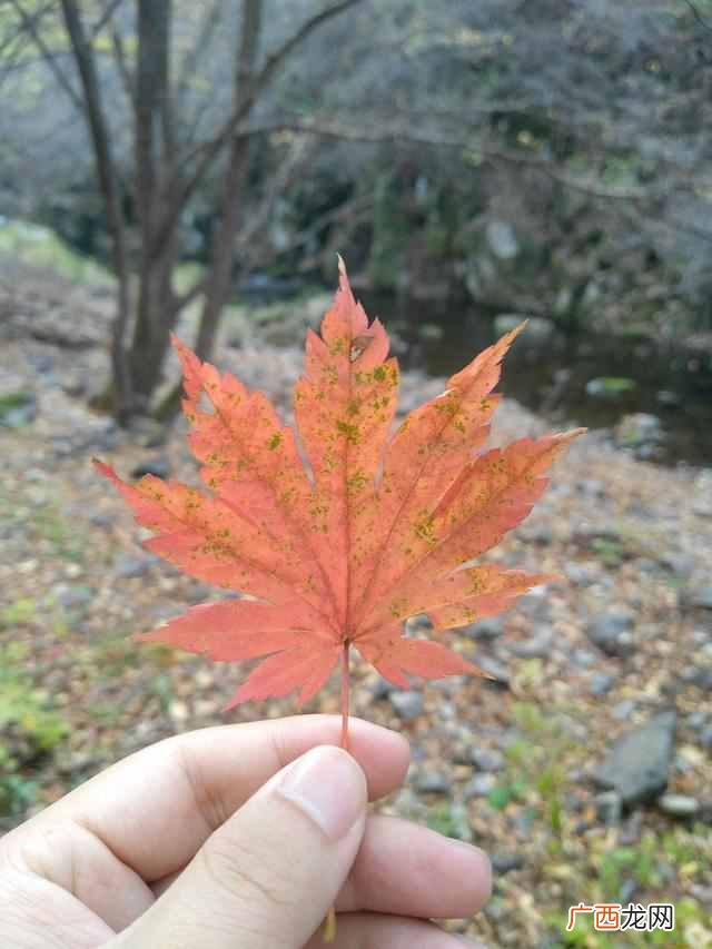 车险保什么比较适合（车险保什么险种最具性价