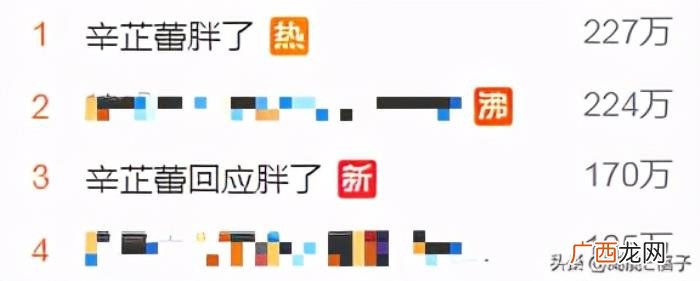 辛芷蕾工作室微博，辛芷蕾工作室怒发三条微博回怼网友