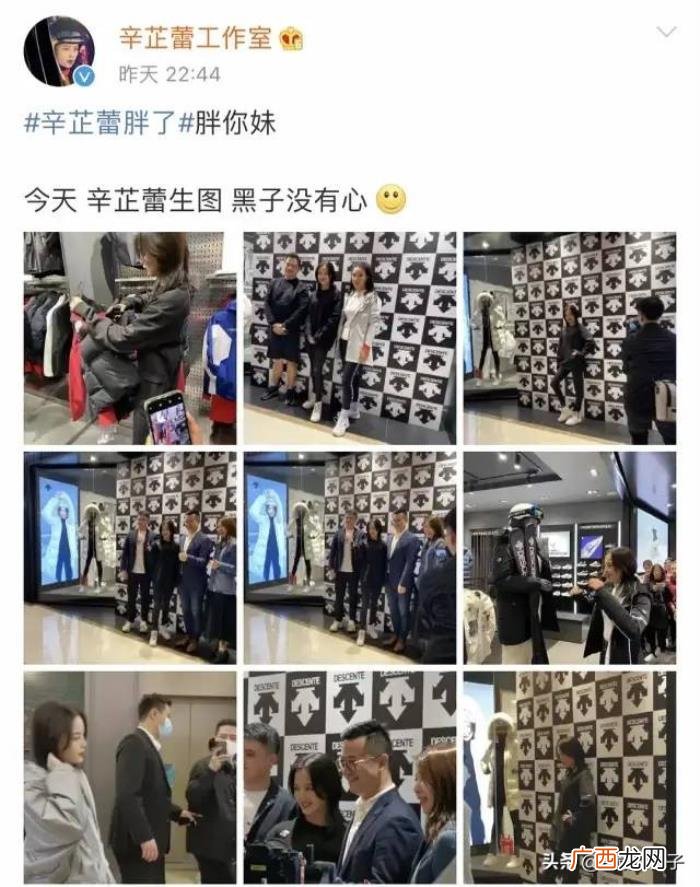 辛芷蕾工作室微博，辛芷蕾工作室怒发三条微博回怼网友
