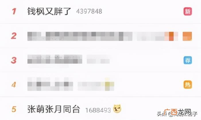 辛芷蕾工作室微博，辛芷蕾工作室怒发三条微博回怼网友