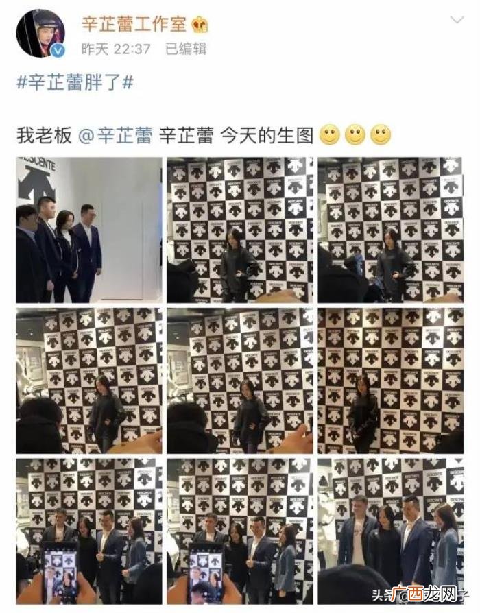 辛芷蕾工作室微博，辛芷蕾工作室怒发三条微博回怼网友