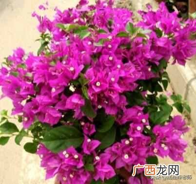 道听途说是形容什么 道听途说什么意思
