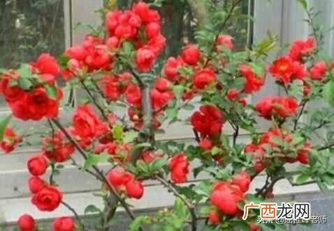 道听途说是形容什么 道听途说什么意思