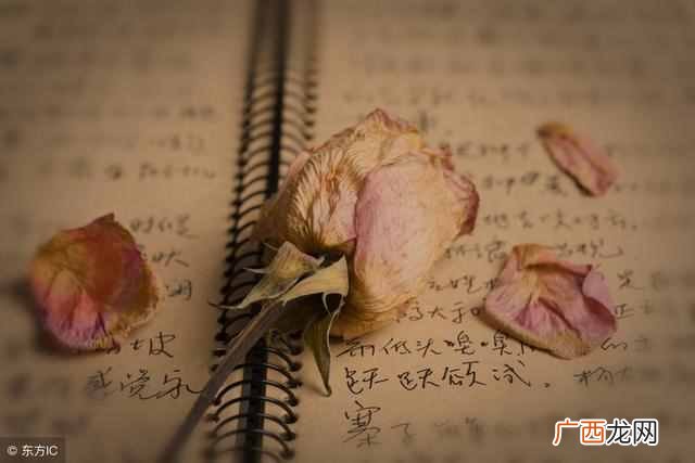 表达方式的作用 表达方式有什么特点