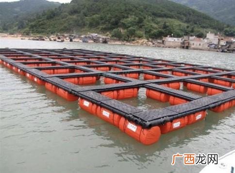 深水网箱养殖 网箱养殖的危害