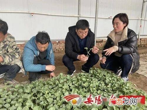 生态养殖的生态效益 微生态养殖