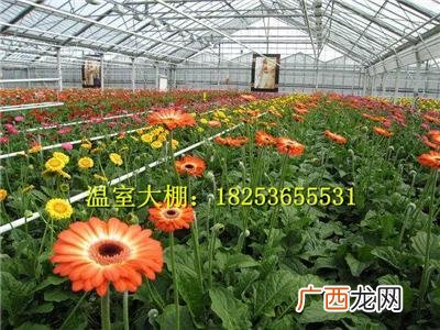 我想学养花技术哪里有 我想开个花卉养殖基地