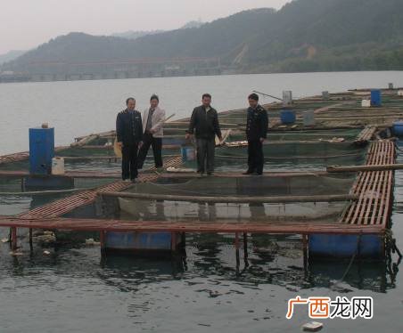 水产养殖网箱 梧州网箱养殖