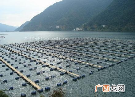 水产养殖网箱 梧州网箱养殖