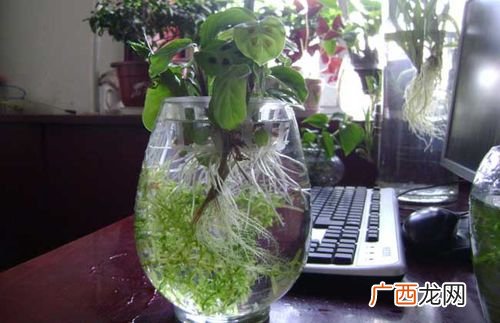 现代水产养殖有几种模式 现代水中养殖