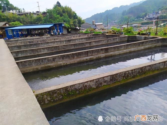 现代水产养殖有几种模式 现代水中养殖