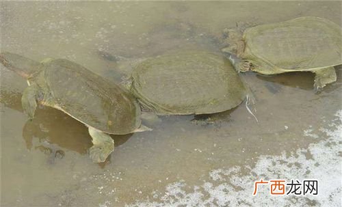 现代水产养殖有几种模式 现代水中养殖