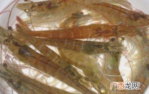 养殖对虾一亩多少成本 小米虾养殖利润