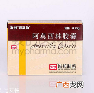 阿莫西林好还是阿奇霉素好？消炎药哪家强