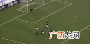 关于世界杯介绍 什么是世界杯
