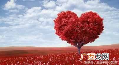 妈妈生日礼物送什么好（最适合送妈妈的礼物大