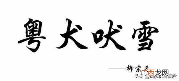 河南人偷井盖是什么意思(河南人偷井盖是什么